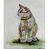 Katze<br>Acryl auf Leinwand 20x30cm
